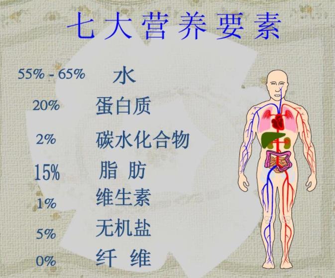 人體7(七)大營養(yǎng)素金字塔描述的都是什么元素