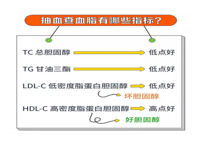 膽固醇