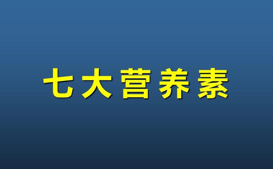 營養(yǎng)素的重要性