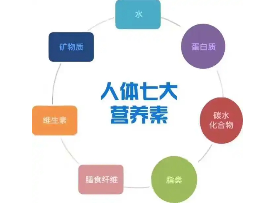 營養(yǎng)素為什么能夠調(diào)理疾病