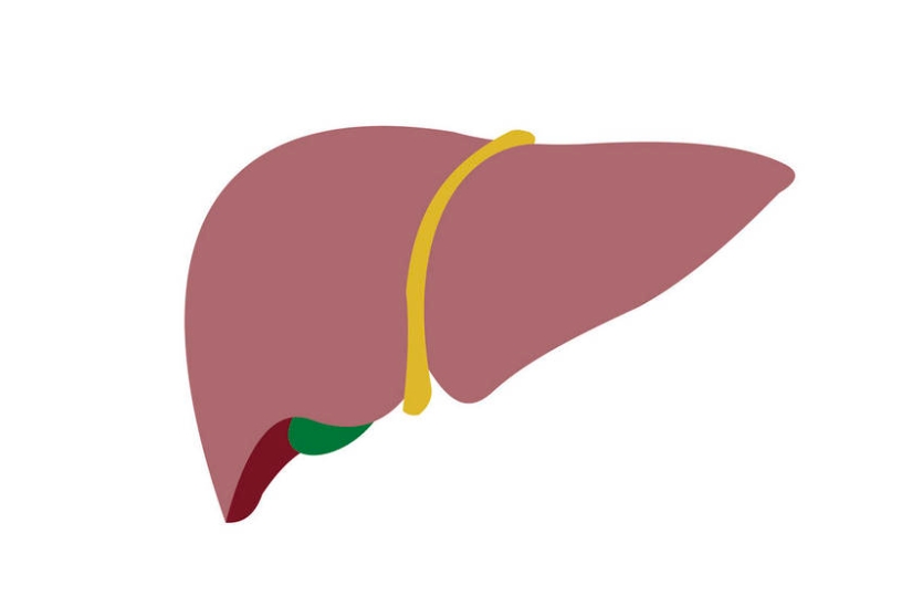 肝臟：2型糖尿病的“幕后黑手”